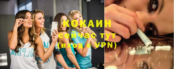 Альфа ПВП Пересвет
